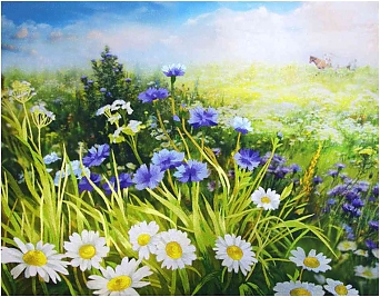 Цветы луговые