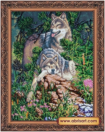 Отдых на камнях