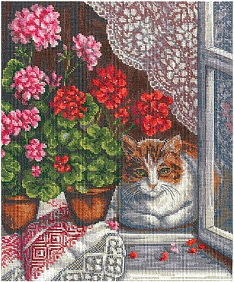Герань на окне