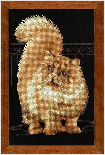 Персидский кот
