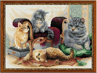 Кошачье семейство