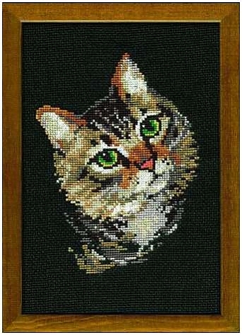 Серая кошка