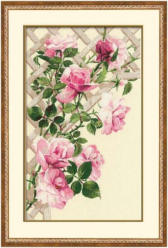 Розовые розы