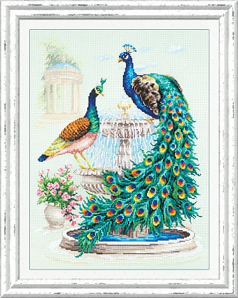 Павлины