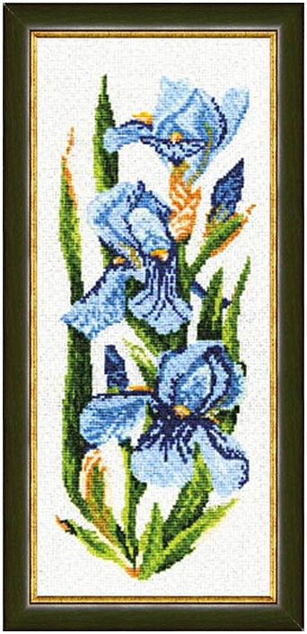 Ирисы