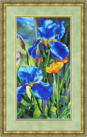Бархатные ирисы