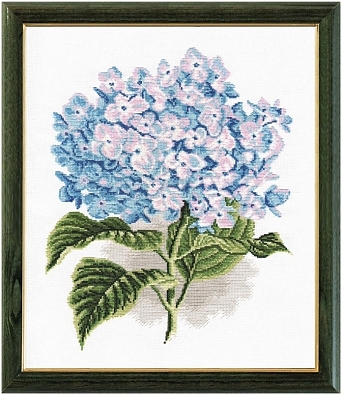 Гортензия