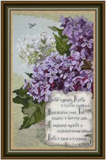 Цветущая сирень