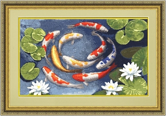 Карпы кои