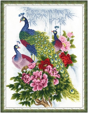 Павлины