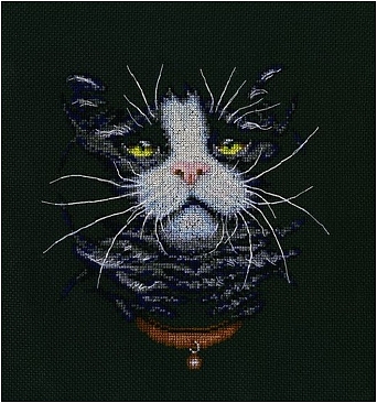 Кошачий фаворит